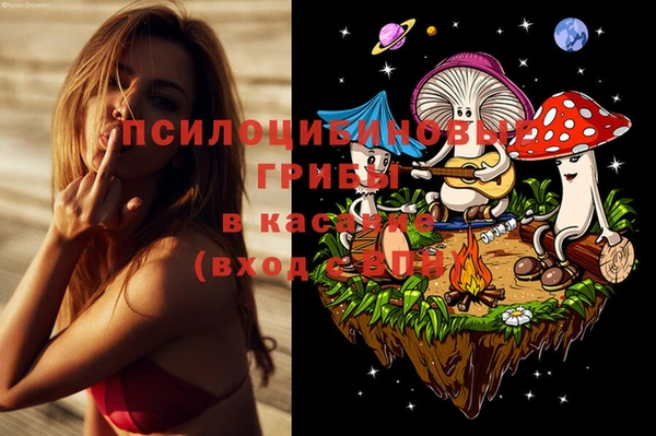 ГАЛЛЮЦИНОГЕННЫЕ ГРИБЫ Абинск