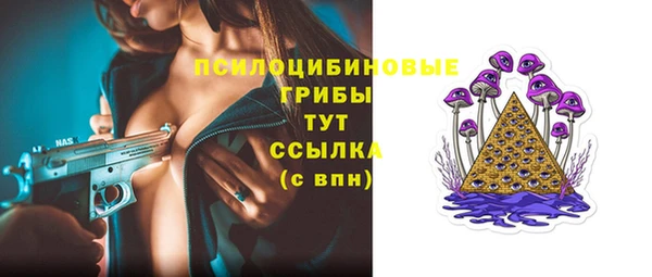 apvp Алексин