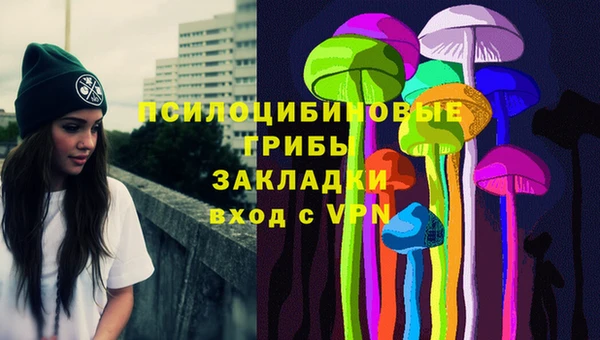 спиды Алзамай