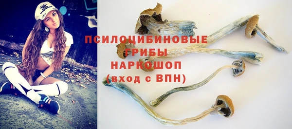 спиды Алзамай